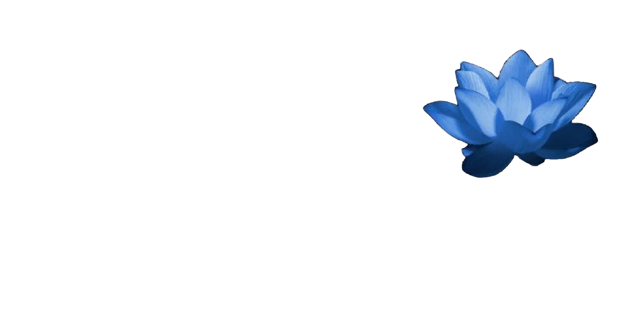 Blue Lotus Africa